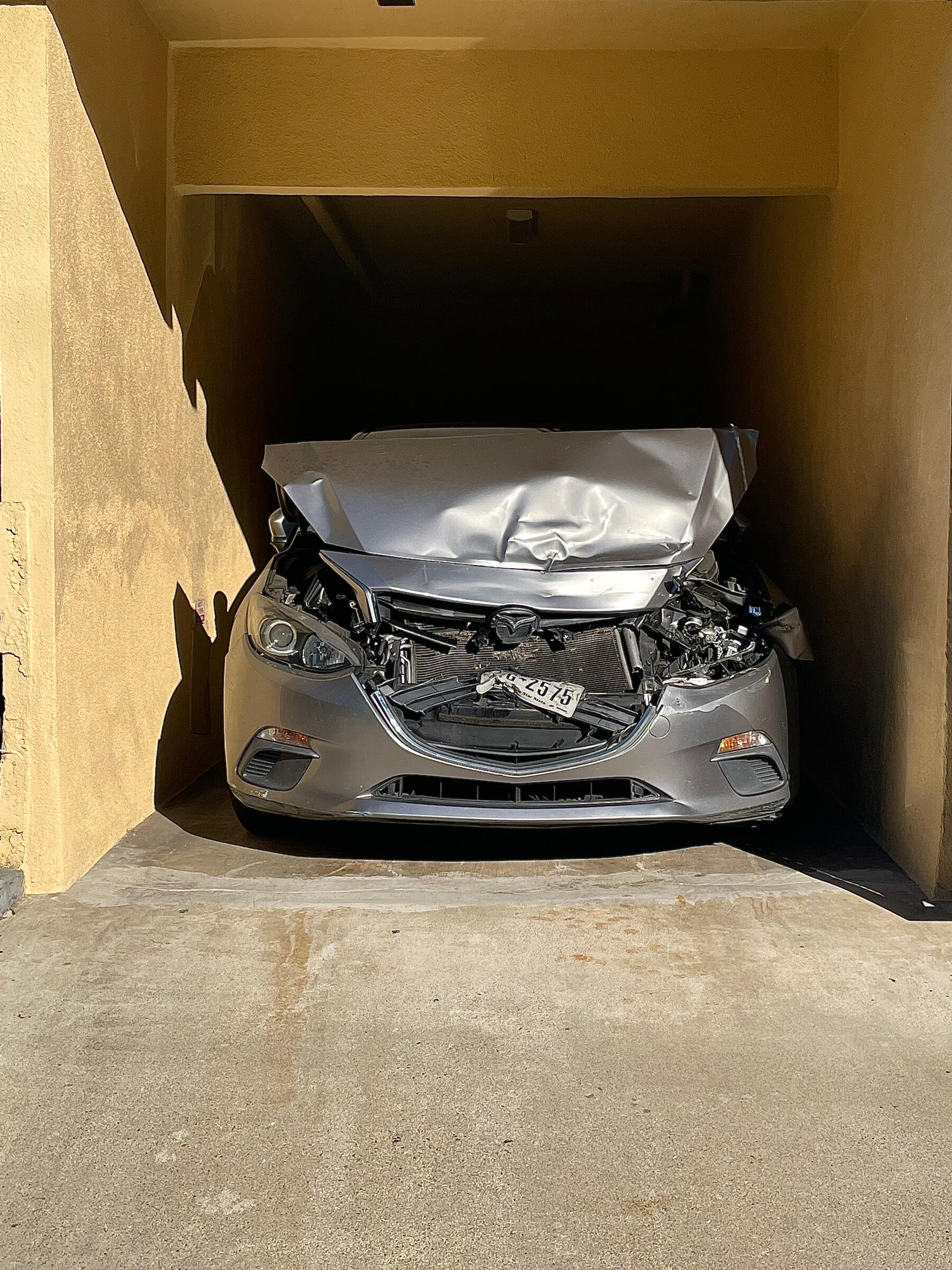 Crash-Willie-Burton-2026 Crash-Willie-Burton-2026