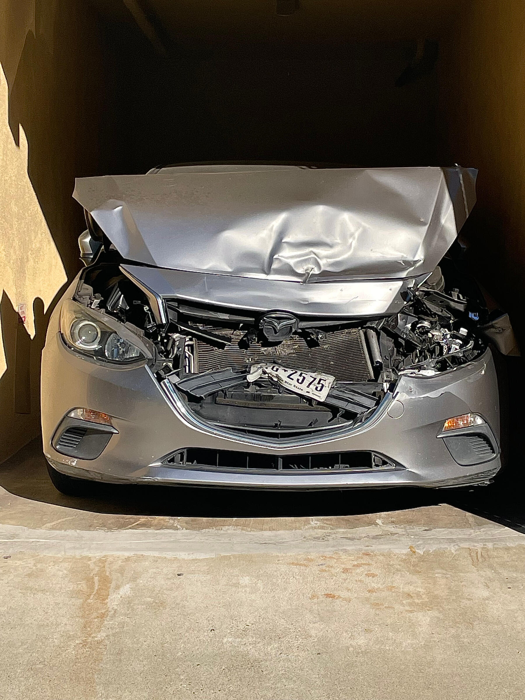 Crash-Willie-Burton_2026